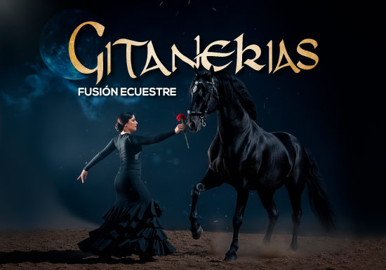 CENTRO ECUESTRE DOMECQ