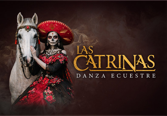 CENTRO ECUESTRE DOMECQ