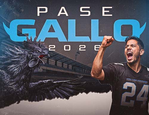 GALLOS NEGROS 2026