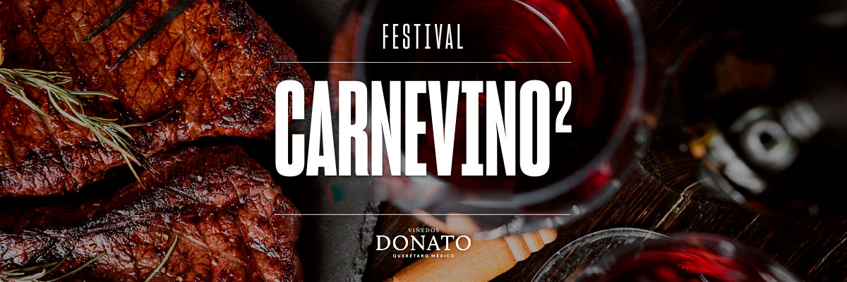 FESTIVAL CARNEVINO