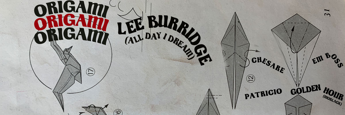 Origami: Leeburridge