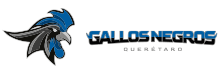GALLOS NEGROS