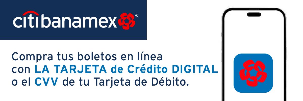 CITIBANAMEX : Información eticket - México