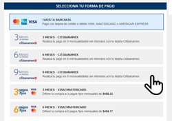 CITIBANAMEX : Información eticket - México